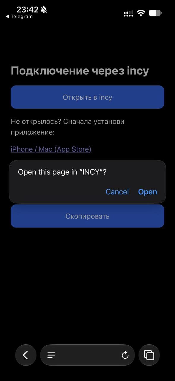 iPhone спрашивает, открыть ли страницу в INCY